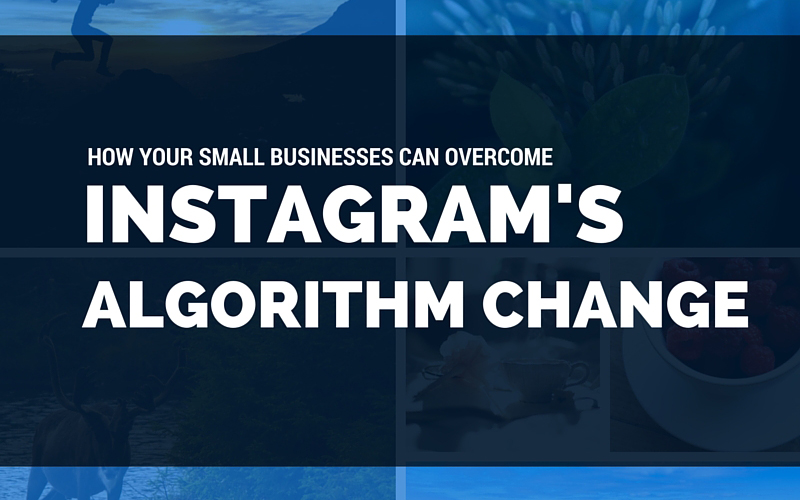 How can your small business cope with the newest update Instagram made to their feed?
