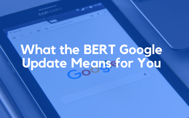 BERT Google Update