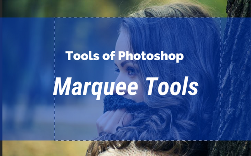Tools of Photoshop: Marquee Tools