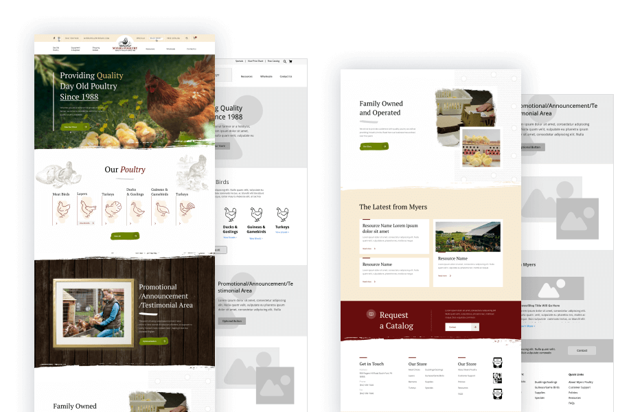 Myers Poultry Website Design & Case Study