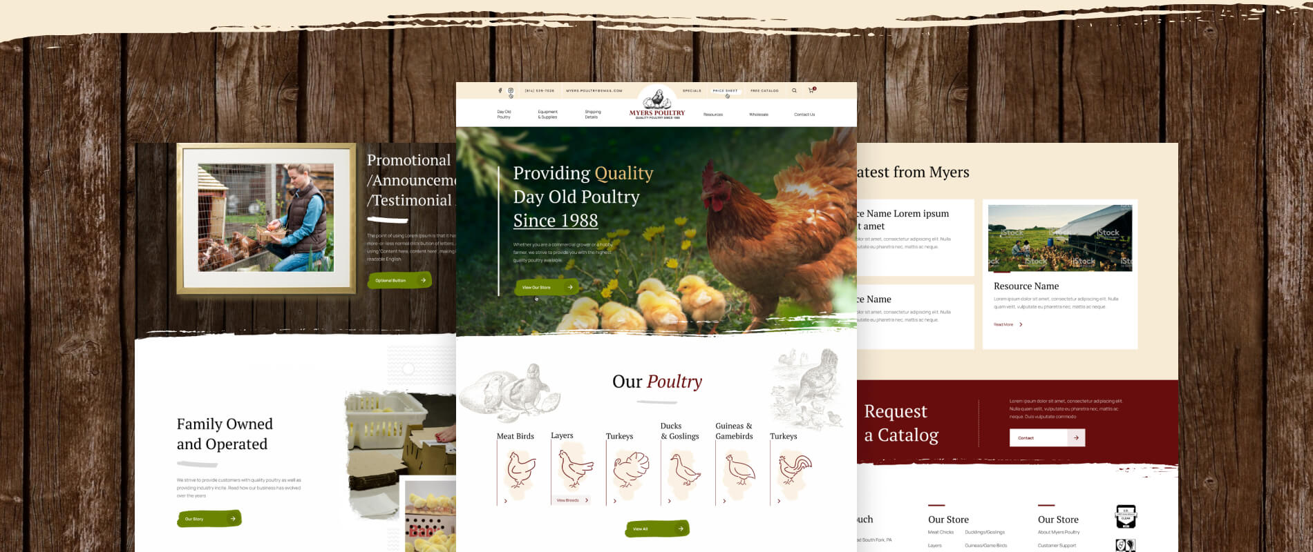 Myers Poultry Website Design & Case Study
