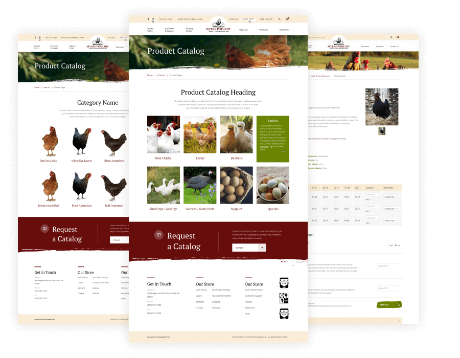 Myers Poultry Website Design & Case Study