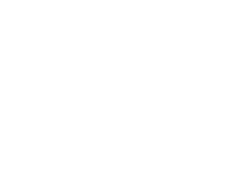 Westmoreland Museum of american art software development case study