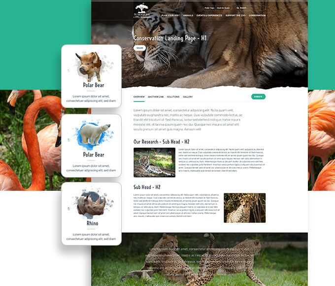 pittsbrugh zoo immersive design website design
