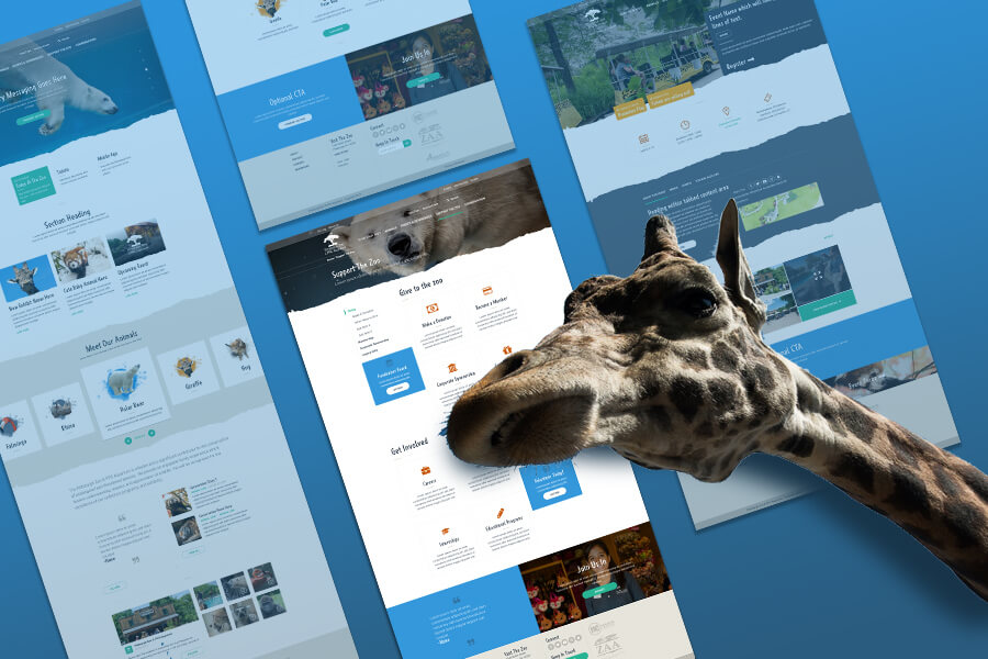 pittsburgh zoo website design challenge