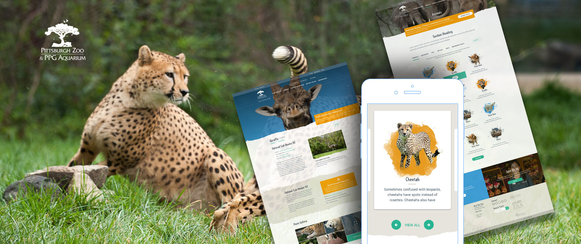 pittsburgh zoo website web design solution