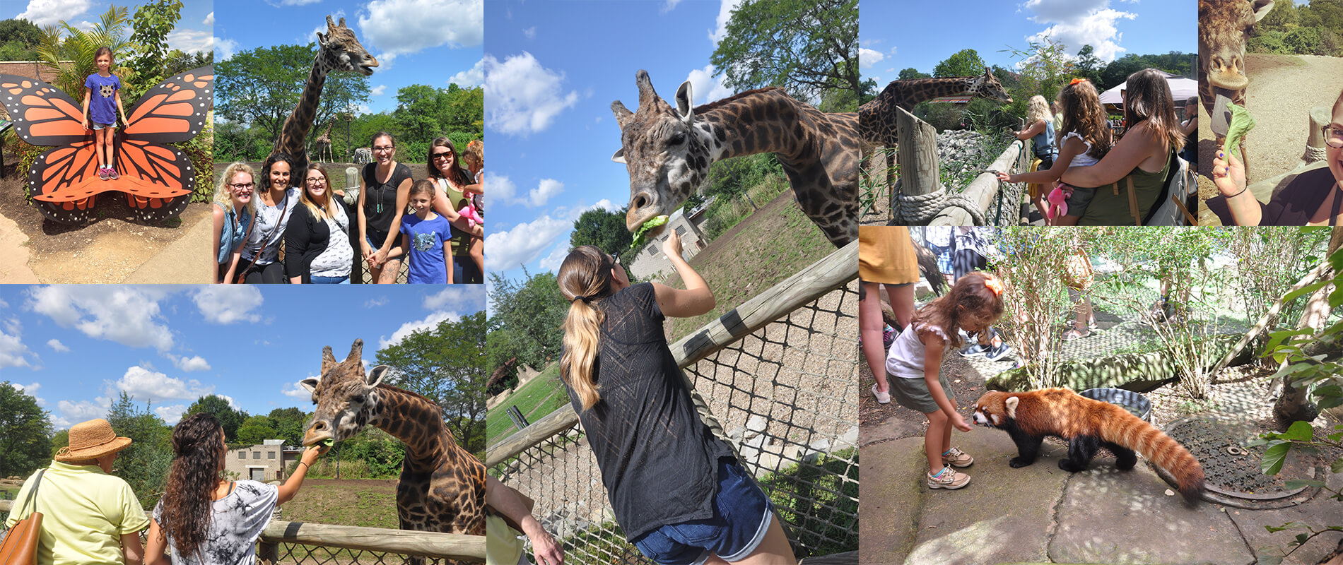 blue archer team on pittsburgh zoo tour