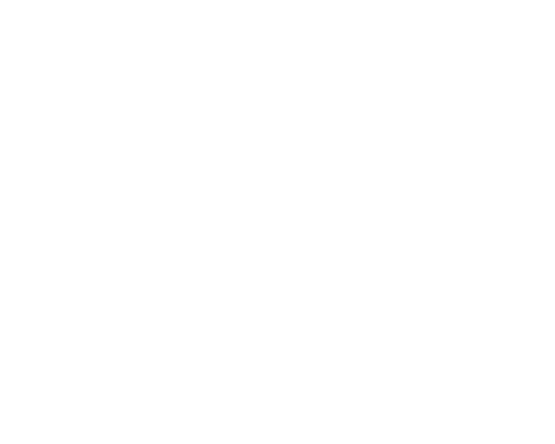 Walnut capital website design case study