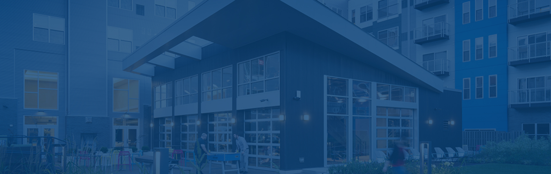 Walnut Capital site Design Case Study