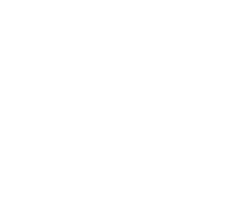 The Children's Institute