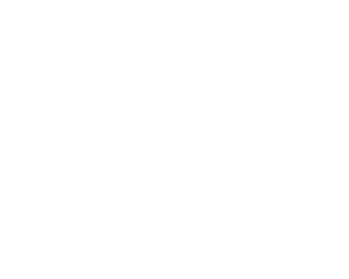 Fred Rogers Institute