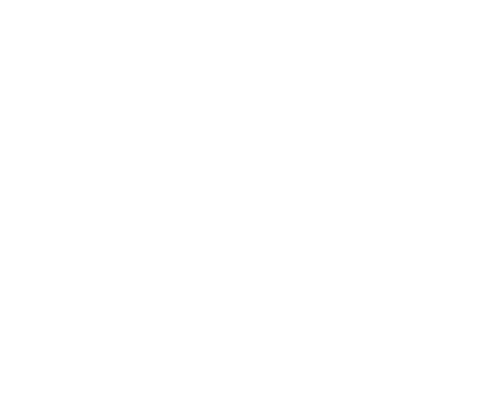 Walnut Capital